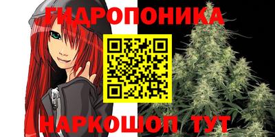 СК Заводоуковск
