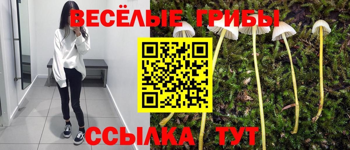 Псилоцибиновые грибы Psilocybine cubensis  Псилоцибиновые грибы мухоморы  где продают наркотики  Вход с VPN  Ейск 