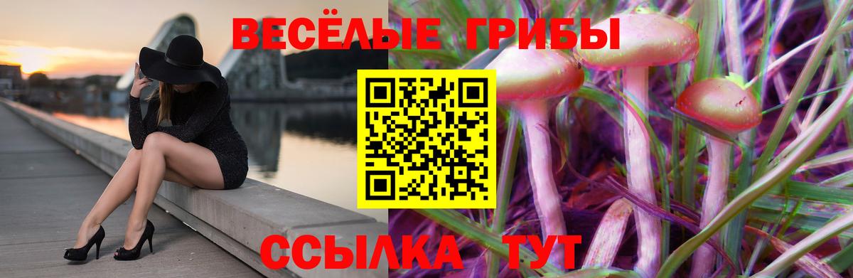 Псилоцибиновые грибы мицелий Ейск